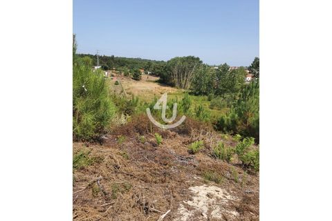 Helårsgrund i Nazare, Leiria, Nazare - € 68.000 | Ref: S4U120-V178 - foto 12