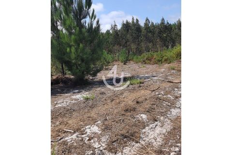 Helårsgrund i Nazare, Leiria, Nazare - € 68.000 | Ref: S4U120-V178 - foto 13
