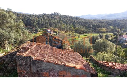 Ruin i Ceivaes e Badim, Viana do Castelo, Ceivaes e Badim - € 16 000 | Ref: SAFTI:003230 - foto 7