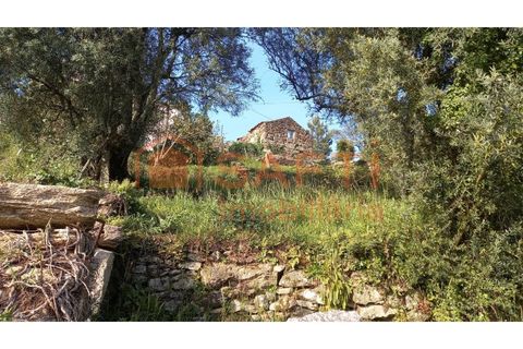 Ruin i Ceivaes e Badim, Viana do Castelo, Ceivaes e Badim - € 16 000 | Ref: SAFTI:003230 - foto 8
