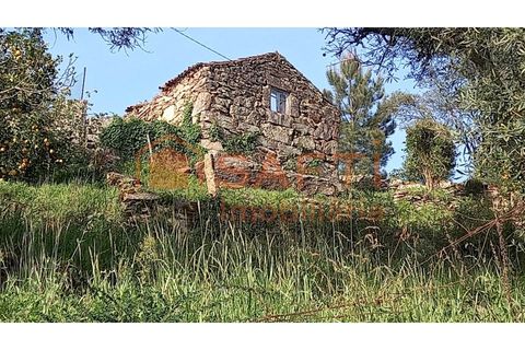 Ruin i Ceivaes e Badim, Viana do Castelo, Ceivaes e Badim - € 16 000 | Ref: SAFTI:003230 - foto 11