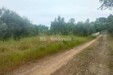 Helårsgrund i Tomar, Santarem, Tomar - € 32.500 | Ref: 00914-23 - foto 10
