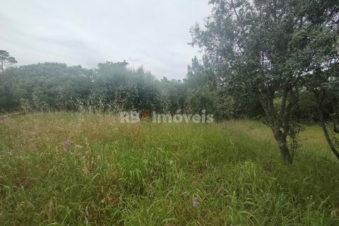 Helårsgrund i Tomar, Santarem, Tomar - € 32.500 | Ref: 00914-23 - foto 6