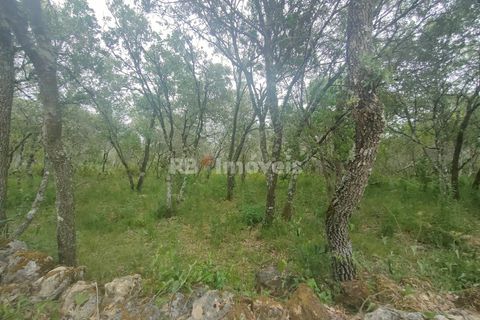 Helårsgrund i Tomar, Santarem, Tomar - € 32.500 | Ref: 00914-23 - foto 8