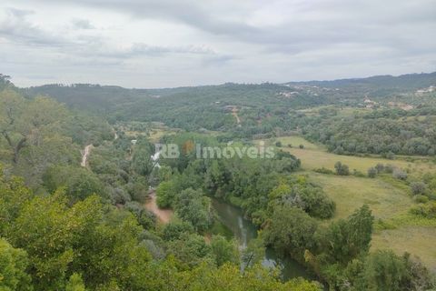 Helårsgrund i Tomar, Santarem, Tomar - € 32.500 | Ref: 00914-23 - foto 2