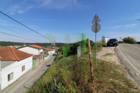 Tomt i Tavarede, Coimbra, Tavarede - € 43 000 | Ref: FFCC 4901 - foto 5