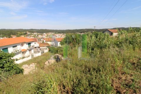 Tomt i Tavarede, Coimbra, Tavarede - € 43 000 | Ref: FFCC 4901 - foto 11
