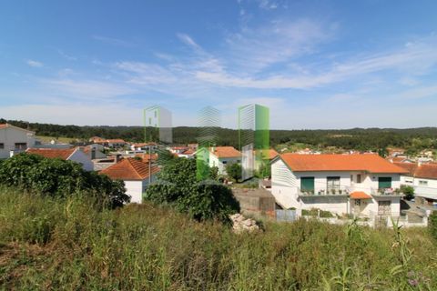 Tomt i Tavarede, Coimbra, Tavarede - € 43 000 | Ref: FFCC 4901 - foto 16