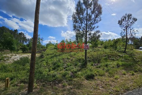 Tomt i Castro Daire, Viseu, Castro Daire - € 120 000 | Ref: 189232115 - foto 3