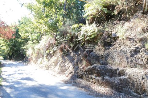 Helårsgrund i Vila Verde, Braga, Vila Verde - € 230.000 | Ref: A037-3088 - foto 2