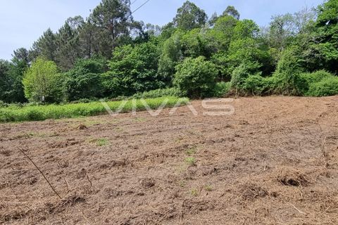 Helårsgrund i Vila Verde, Braga, Vila Verde - € 15.000 | Ref: 01-3196 - foto 5