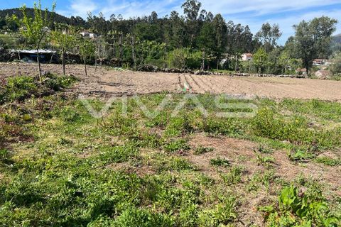 Helårsgrund i Vila Verde, Braga, Vila Verde - € 25.000 | Ref: 01-3197 - foto 2
