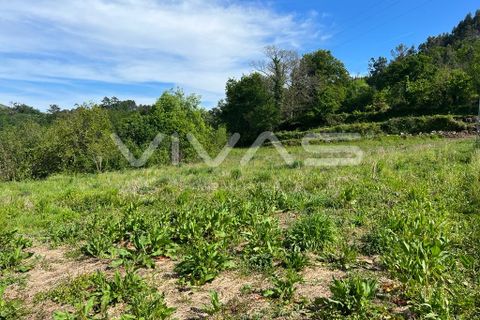 Helårsgrund i Vila Verde, Braga, Vila Verde - € 25.000 | Ref: 01-3197 - foto 3