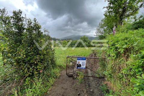 Helårsgrund i Vila Verde, Braga, Vila Verde - € 25.000 | Ref: 01-3197 - foto 4