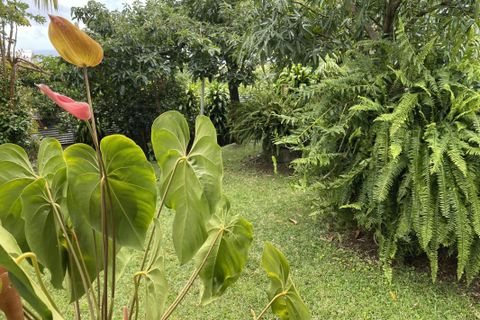 Villa i Sainte-Marie, La Reunion, Sainte-Marie - € 378.000 | Ref: MV215 - foto 11