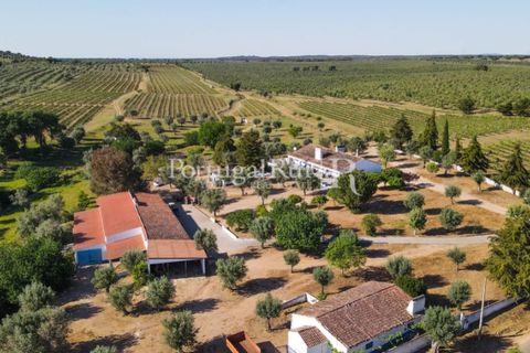 Landejendom i Avis, Portalegre, Avis - € 1.350.000 | Ref: 1010-3 - foto 10