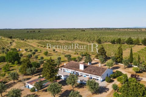 Landejendom i Avis, Portalegre, Avis - € 1.350.000 | Ref: 1010-3 - foto 1