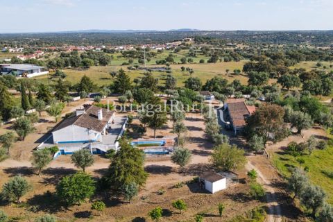 Landejendom i Avis, Portalegre, Avis - € 1.350.000 | Ref: 1010-3 - foto 11