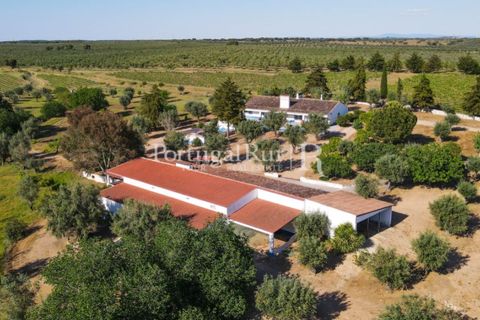 Landejendom i Avis, Portalegre, Avis - € 1.350.000 | Ref: 1010-3 - foto 3