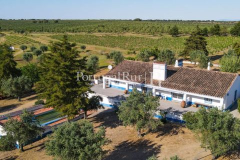 Landejendom i Avis, Portalegre, Avis - € 1.350.000 | Ref: 1010-3 - foto 13