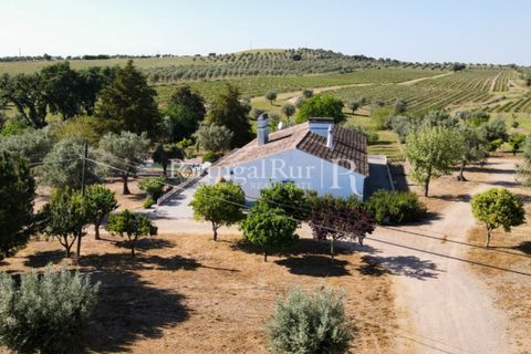 Landejendom i Avis, Portalegre, Avis - € 1.350.000 | Ref: 1010-3 - foto 14