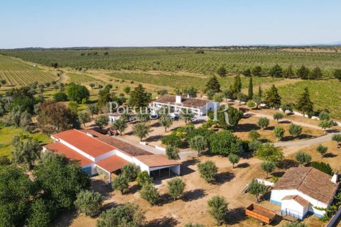 Landejendom i Avis, Portalegre, Avis - € 1.350.000 | Ref: 1010-3 - foto 16