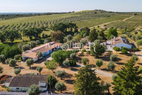 Landejendom i Avis, Portalegre, Avis - € 1.350.000 | Ref: 1010-3 - foto 17