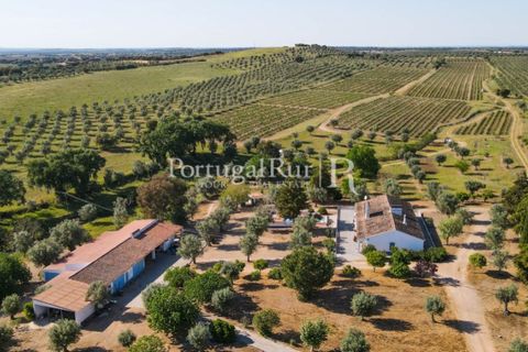 Landejendom i Avis, Portalegre, Avis - € 1.350.000 | Ref: 1010-3 - foto 2