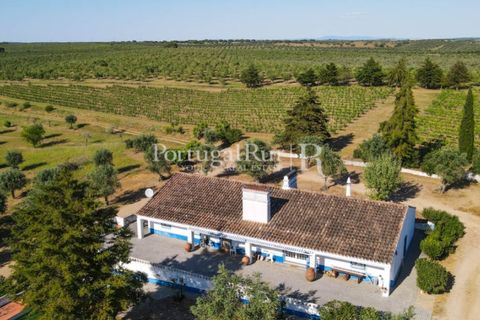Landejendom i Avis, Portalegre, Avis - € 1.350.000 | Ref: 1010-3 - foto 19