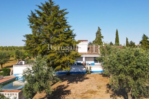 Landejendom i Avis, Portalegre, Avis - € 1.350.000 | Ref: 1010-3 - foto 20
