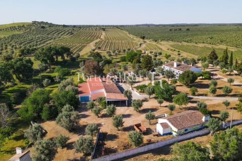 Landejendom i Avis, Portalegre, Avis - € 1.350.000 | Ref: 1010-3 - foto 4