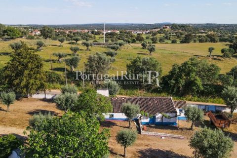 Landejendom i Avis, Portalegre, Avis - € 1.350.000 | Ref: 1010-3 - foto 21
