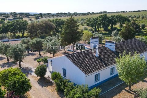 Landejendom i Avis, Portalegre, Avis - € 1.350.000 | Ref: 1010-3 - foto 22