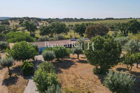 Landejendom i Avis, Portalegre, Avis - € 1.350.000 | Ref: 1010-3 - foto 23