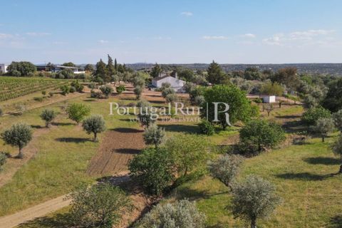 Landejendom i Avis, Portalegre, Avis - € 1.350.000 | Ref: 1010-3 - foto 26