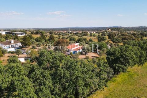 Landejendom i Avis, Portalegre, Avis - € 1.350.000 | Ref: 1010-3 - foto 36