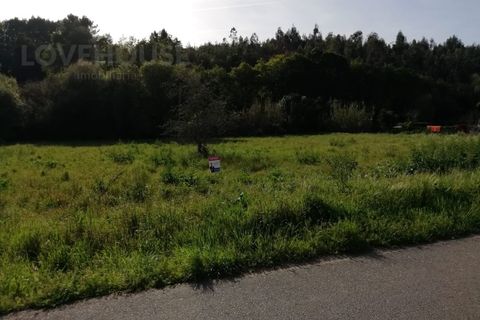 Helårsgrund i Agueda, Aveiro, Agueda - € 100.000 | Ref: LHE190423 - foto 3