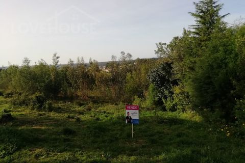 Helårsgrund i Agueda, Aveiro, Agueda - € 40.000 | Ref: LHE200423 - foto 2