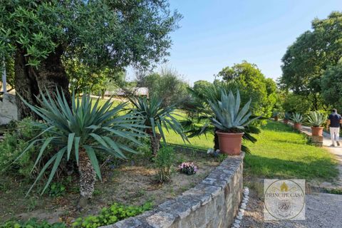 Helårsgrund i Baone, Padua, Baone - € 800.000 | Ref: T236 - foto 4