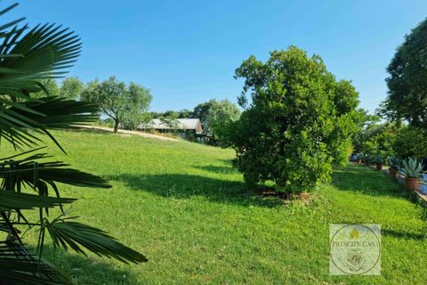 Helårsgrund i Baone, Padua, Baone - € 800.000 | Ref: T236 - foto 5