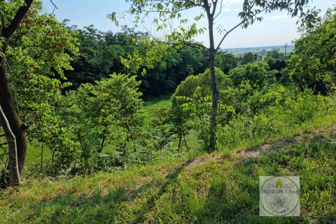 Helårsgrund i Baone, Padua, Baone - € 800.000 | Ref: T236 - foto 12