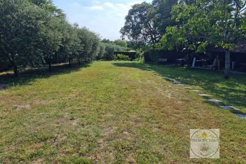 Helårsgrund i Baone, Padua, Baone - € 800.000 | Ref: T236 - foto 14