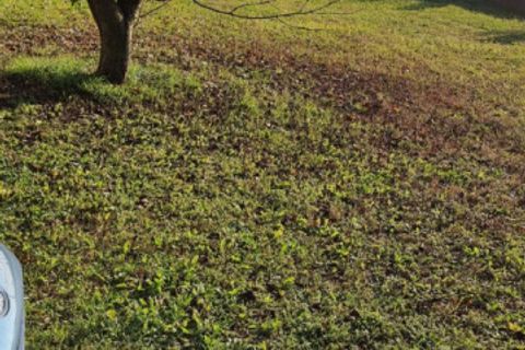 Villa a Stanghella, Padua, Stanghella - € 119.000 | Ref: CS140 - foto 25