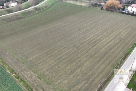 Helårsgrund i Este, Padua, Este - € 350.000 | Ref: T97 - foto 3
