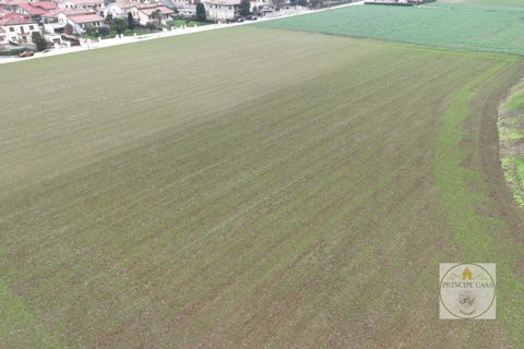 Helårsgrund i Este, Padua, Este - € 350.000 | Ref: T97 - foto 7