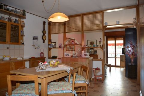 Erhvervsejendom i Grado, Gorizia, Grado - € 850.000 | Ref: AM2050 - foto 13