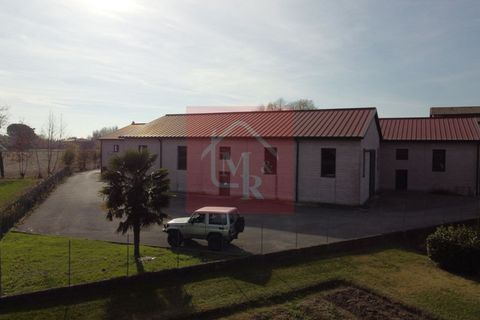 Erhvervsejendom i Ruda, Udine, Ruda - € 179.000 | Ref: AR2118 - foto 5