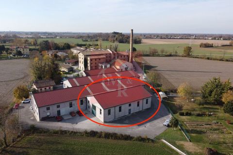 Erhvervsejendom i Ruda, Udine, Ruda - € 179.000 | Ref: AR2118 - foto 22