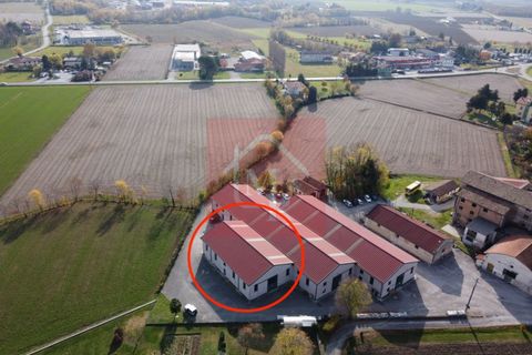 Erhvervsejendom i Ruda, Udine, Ruda - € 179.000 | Ref: AR2118 - foto 24
