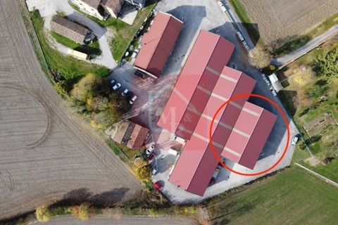 Erhvervsejendom i Ruda, Udine, Ruda - € 179.000 | Ref: AR2118 - foto 27